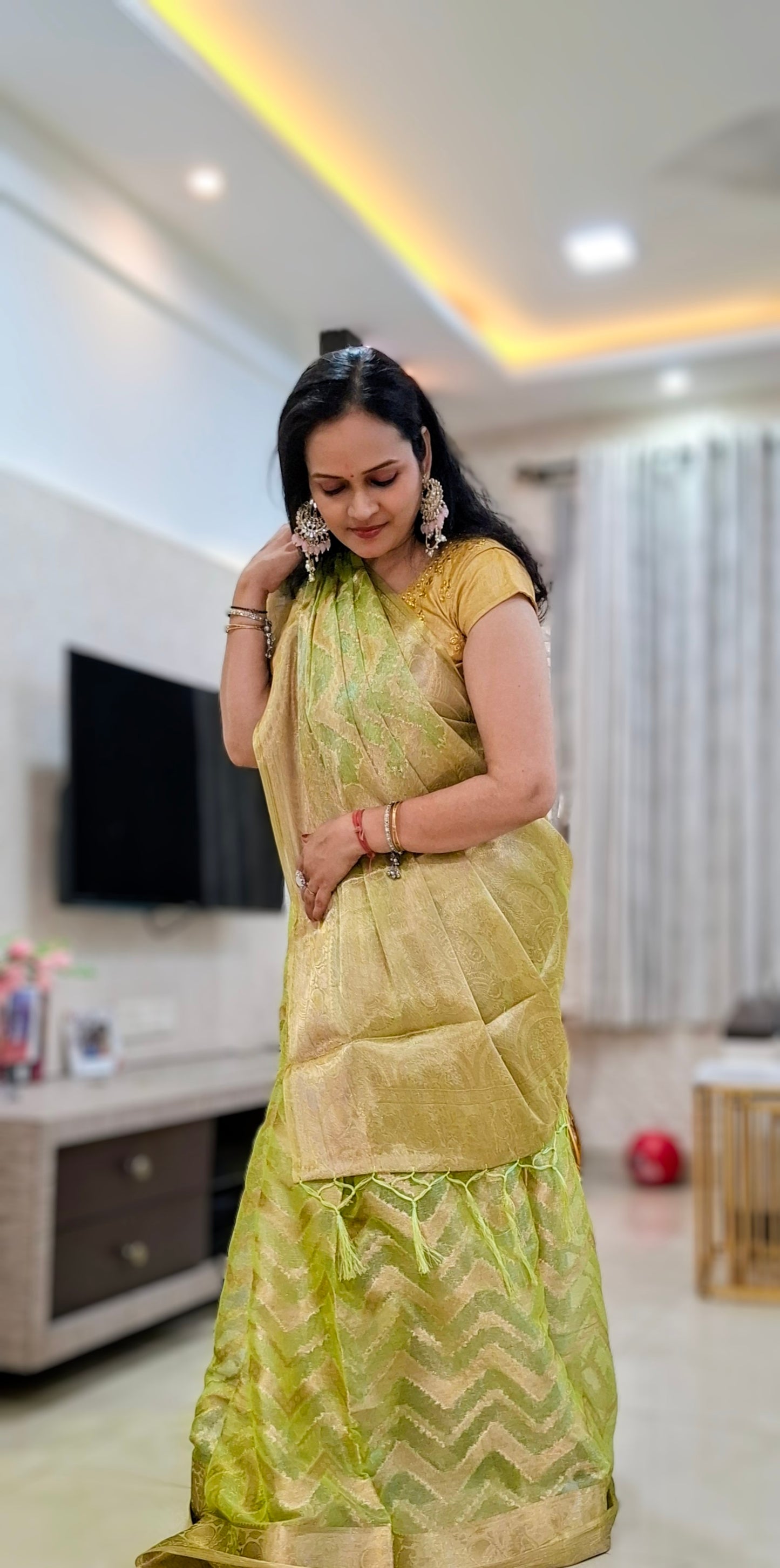 Green tissue Banarasi Saree