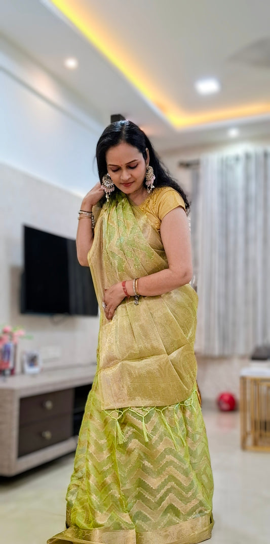 Green tissue Banarasi Saree