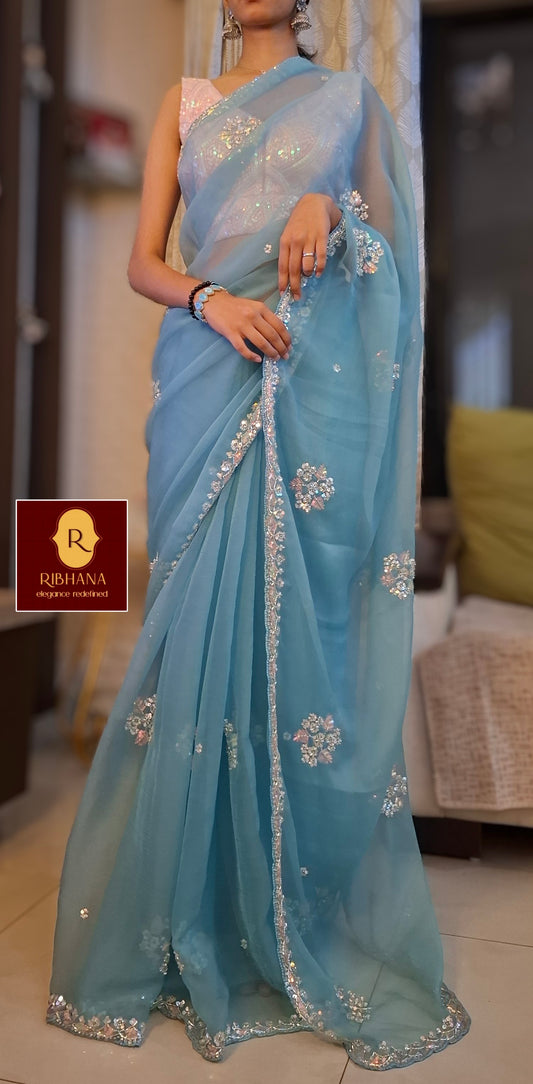 A woman wearing a light blue georgette saree with silver floral embroidery and a matching blouse, standing in an indoor setting. A logo for 'Ribhana' is visible in the lower-left corner.